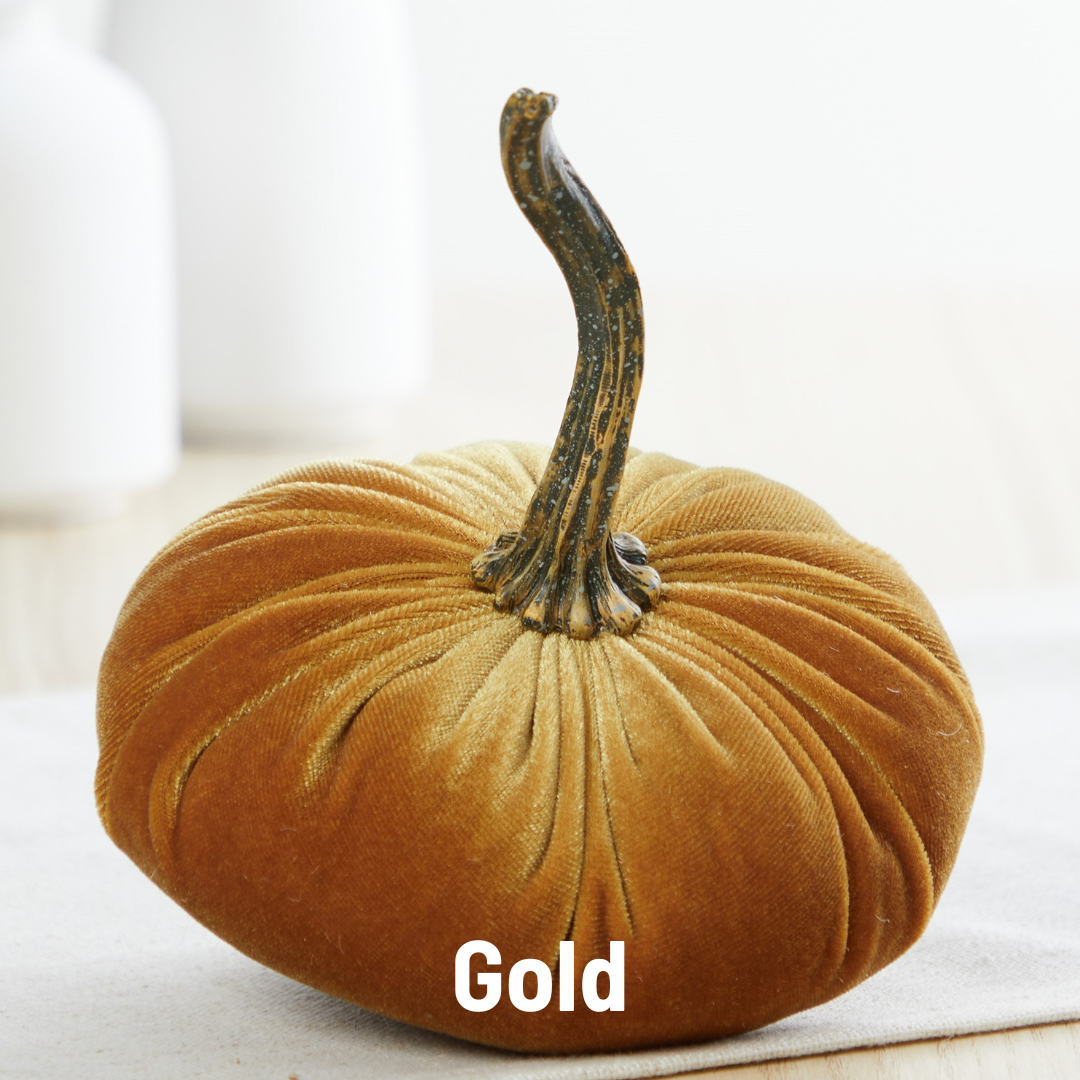 Pumpkin Small  Velvet Fall Decor Gift for New Apartment Best
