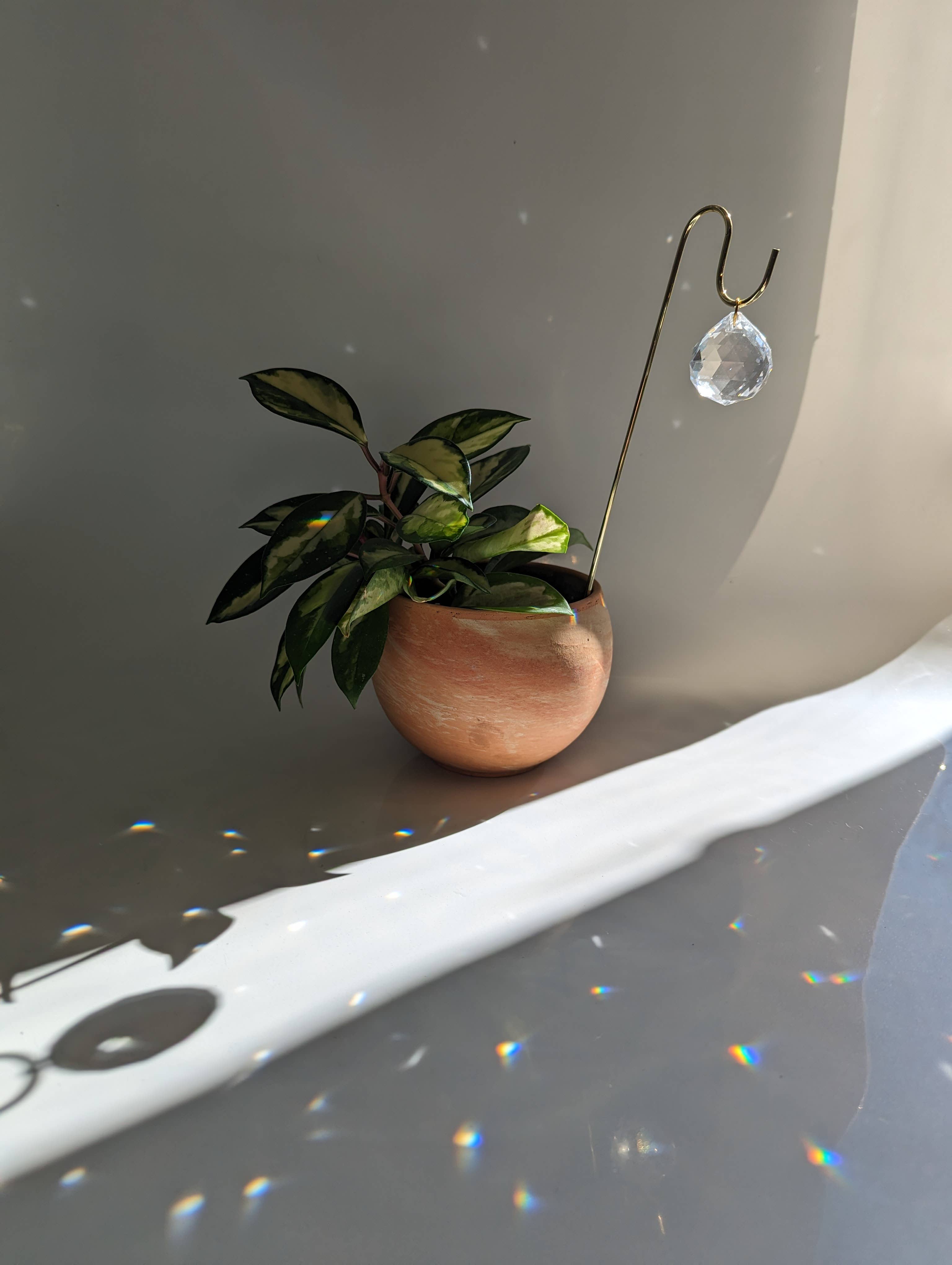 Sun Charm Plant Pick for House Plants