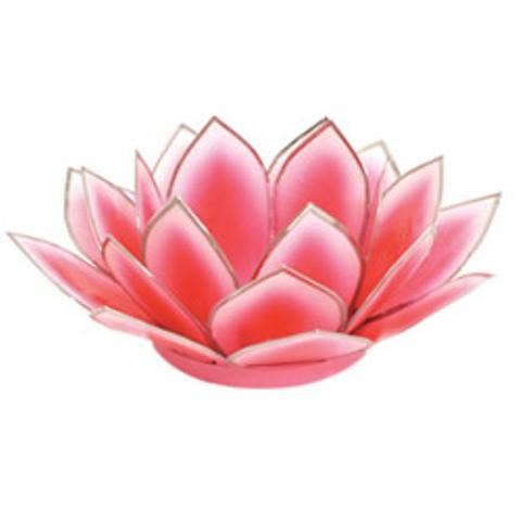 Dahlia Lotus Tlight Collection - 7 Colors