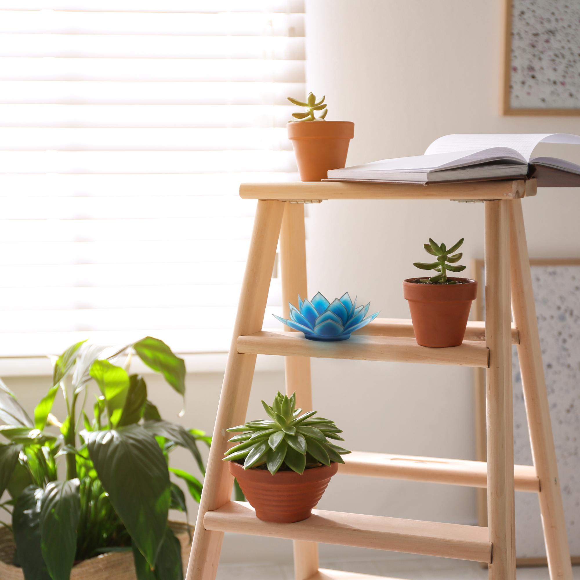 Dahlia Lotus Tlight Collection - 7 Colors