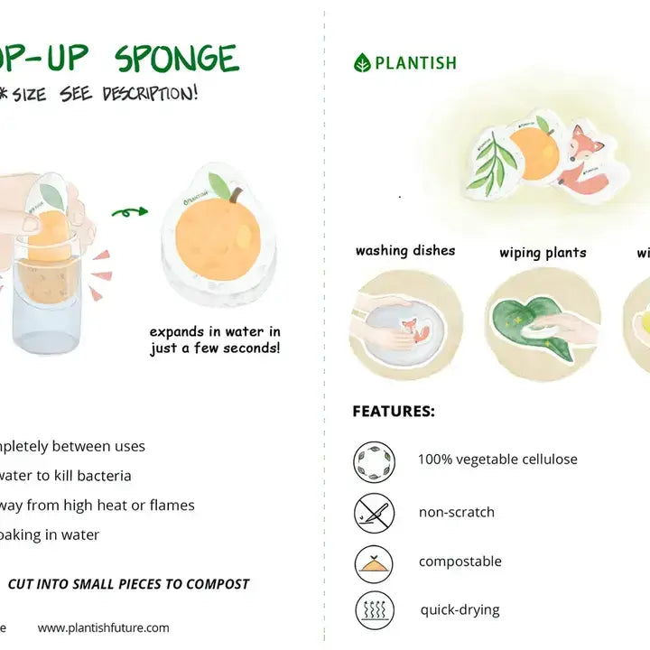 Mossy Snail - Pop Up Sponge