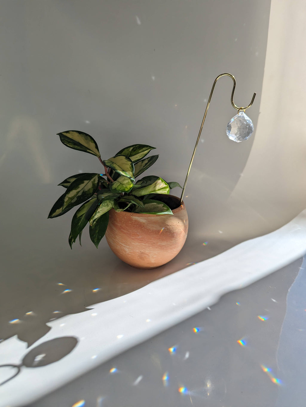 Sun Charm Plant Pick for House Plants