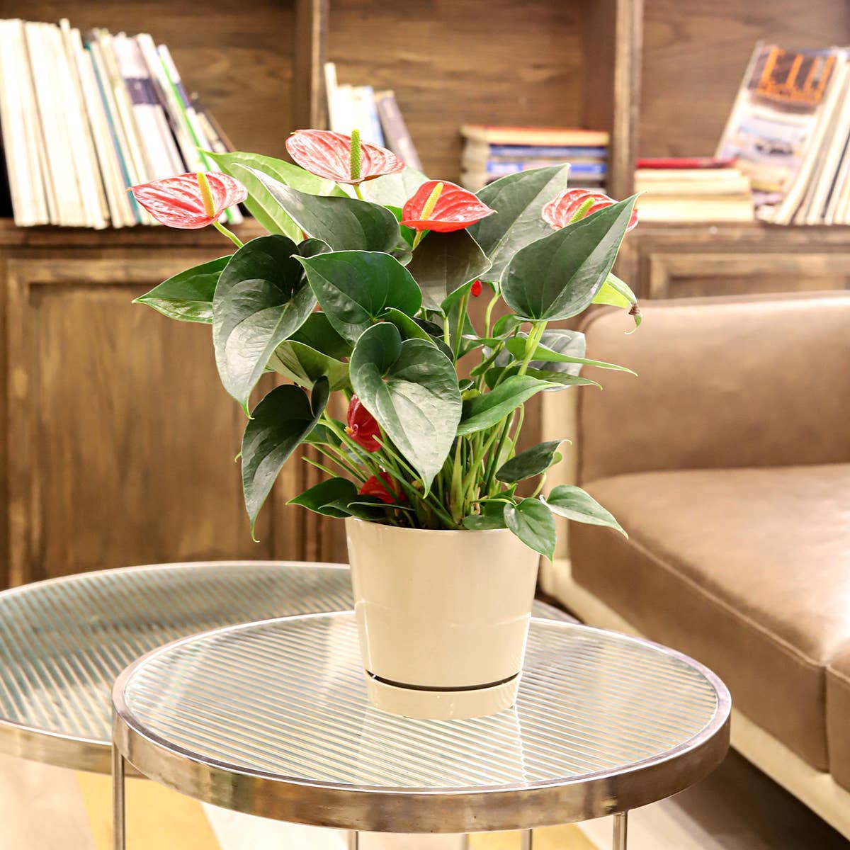 6 inch Oatmeal Pot with Drainage Hole - Pot for Houseplants-Knack