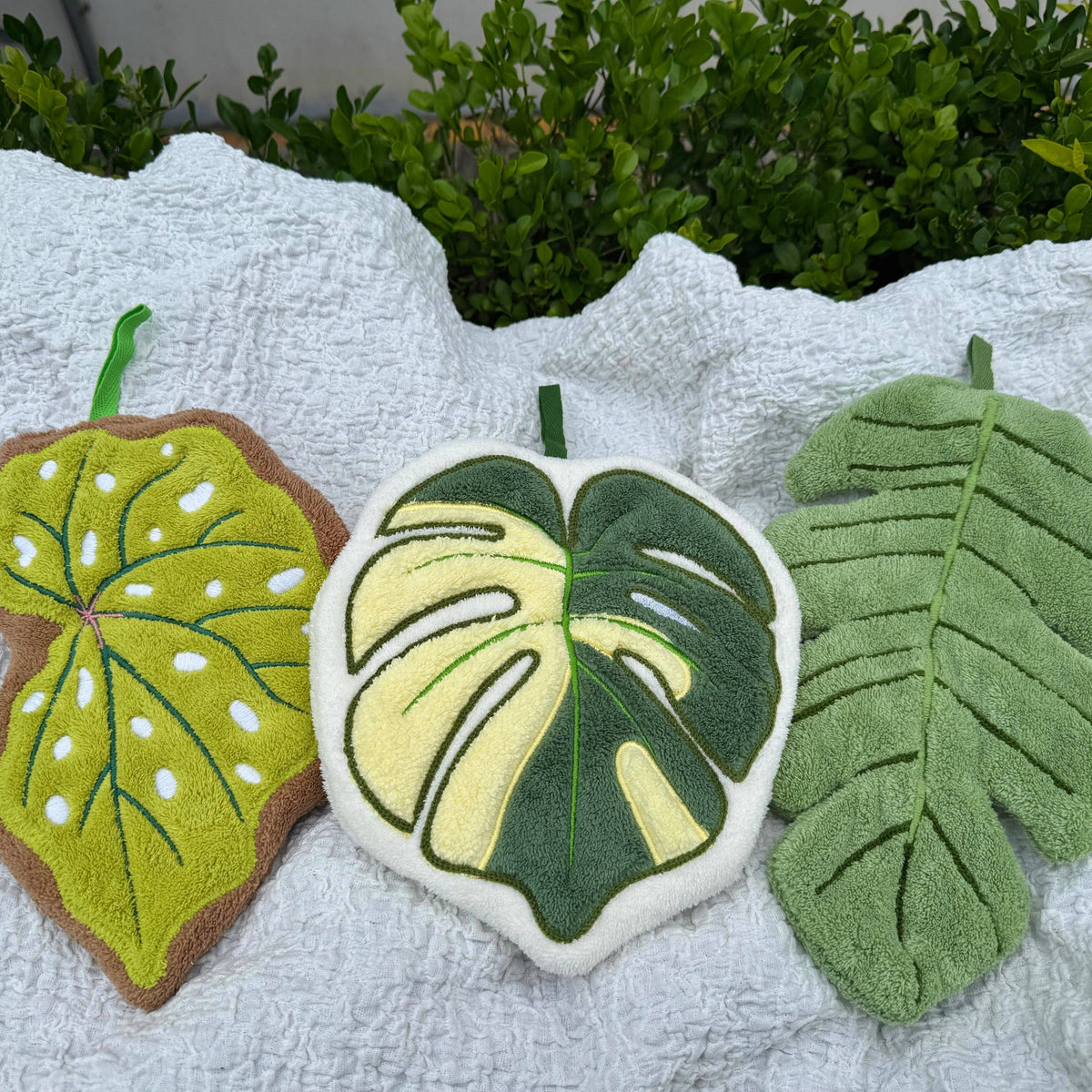 Variegated Monstera Leaf - Hanging Hand Towel