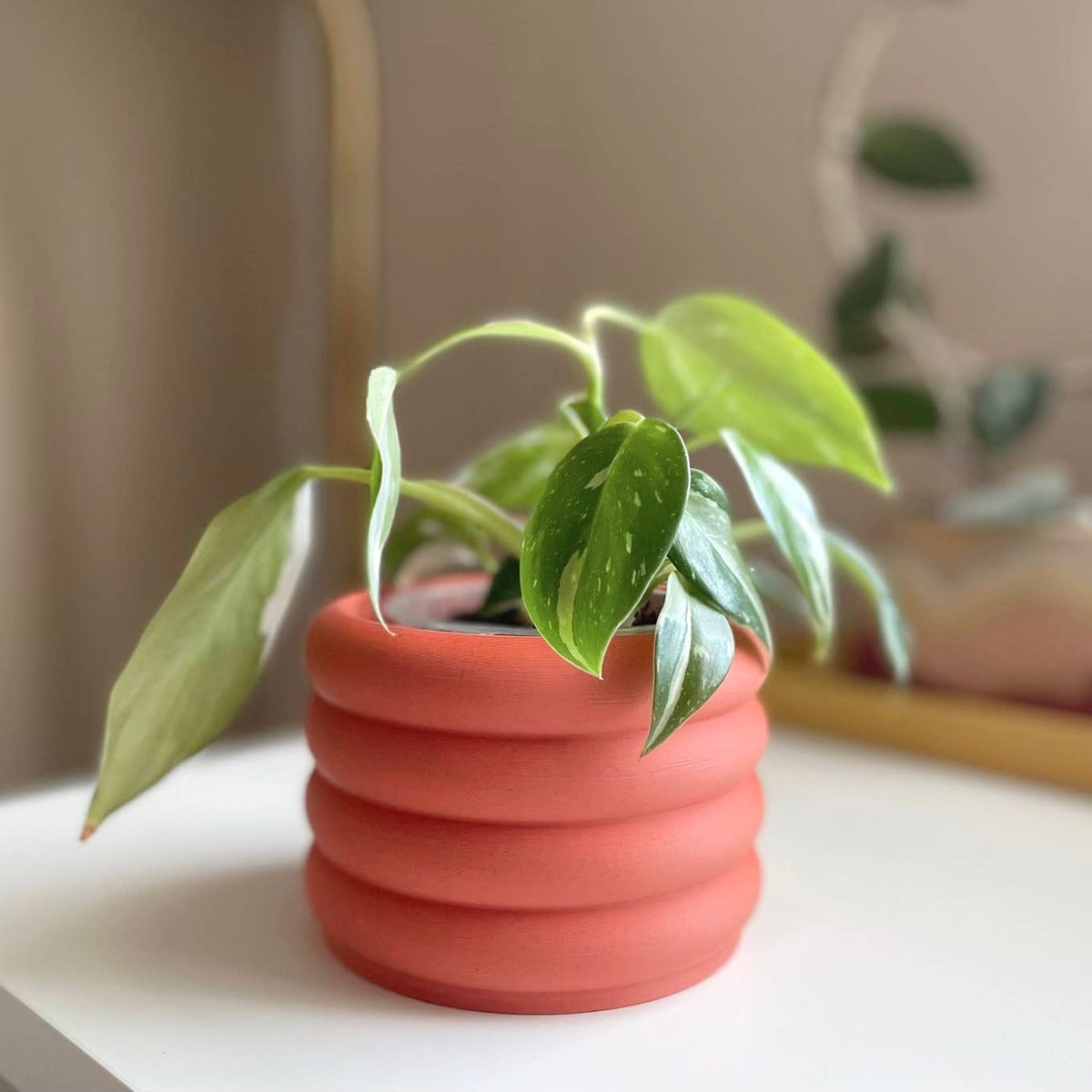 bubble wrap inside plant pots 3D Printed 2
