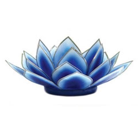 Dahlia Lotus Tlight Collection - 7 Colors