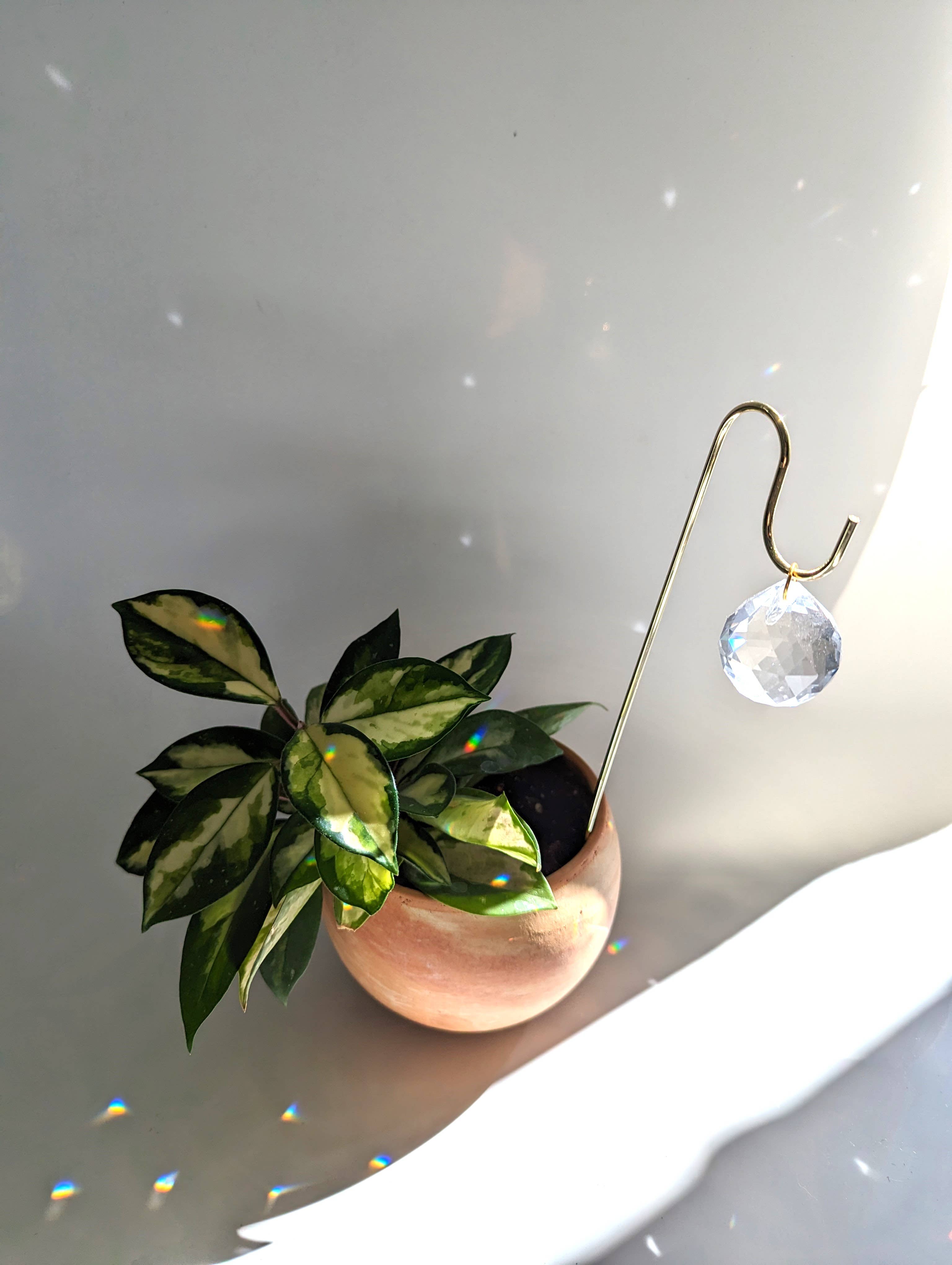 Sun Charm Plant Pick for House Plants