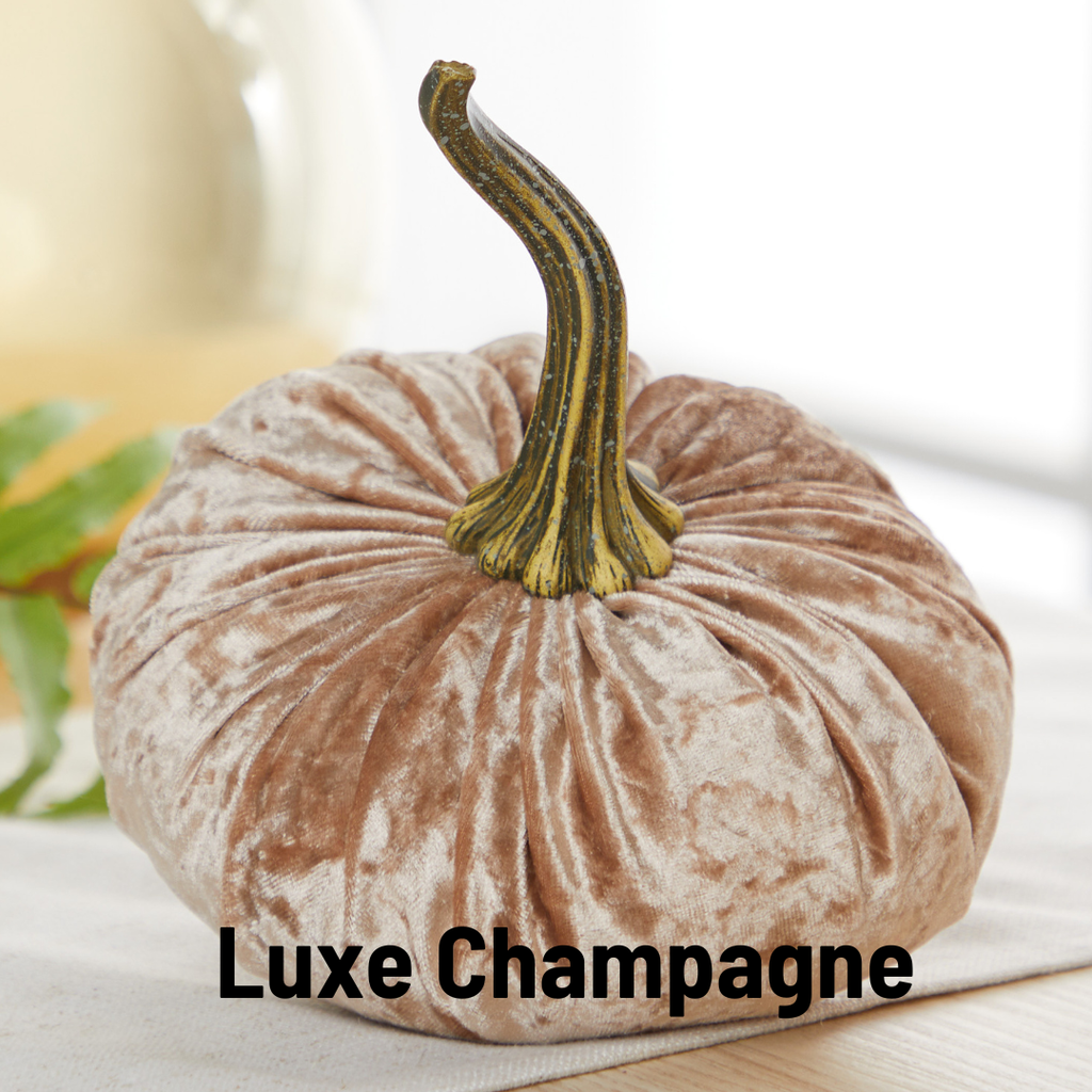 Pumpkin Small  Velvet Fall Decor Gift for New Apartment Best