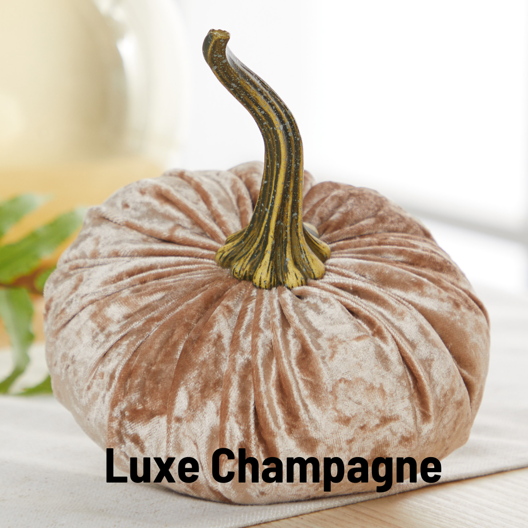 Pumpkin Small  Velvet Fall Decor Gift for New Apartment Best