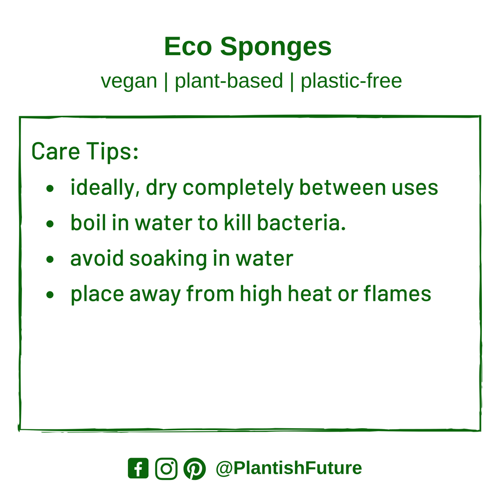 Eco Sponge