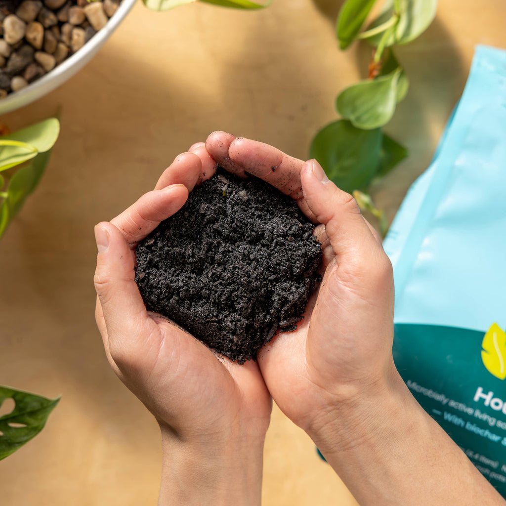 4qt Organic Houseplant Mix for Potted Plants