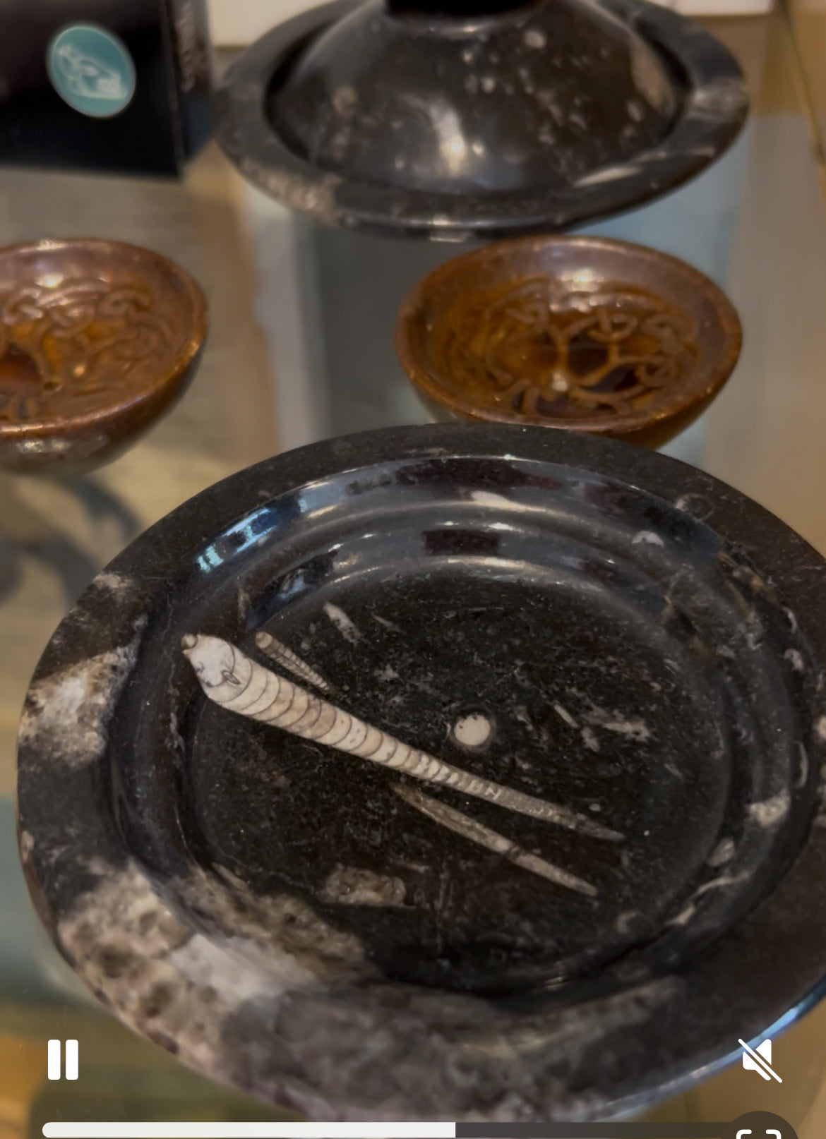 Incense Fossil Jar-Black : One