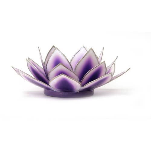 Dahlia Lotus Tlight Collection - 7 Colors