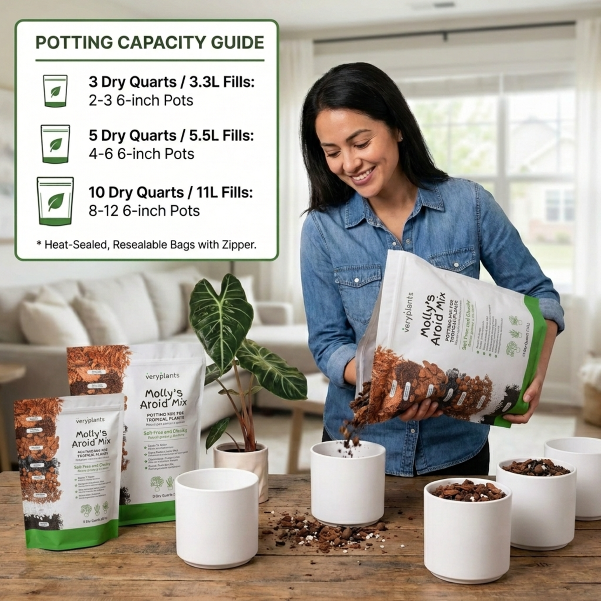 Molly's Aroid & Houseplant Soil Mix - 5DQ - Case of 12 units