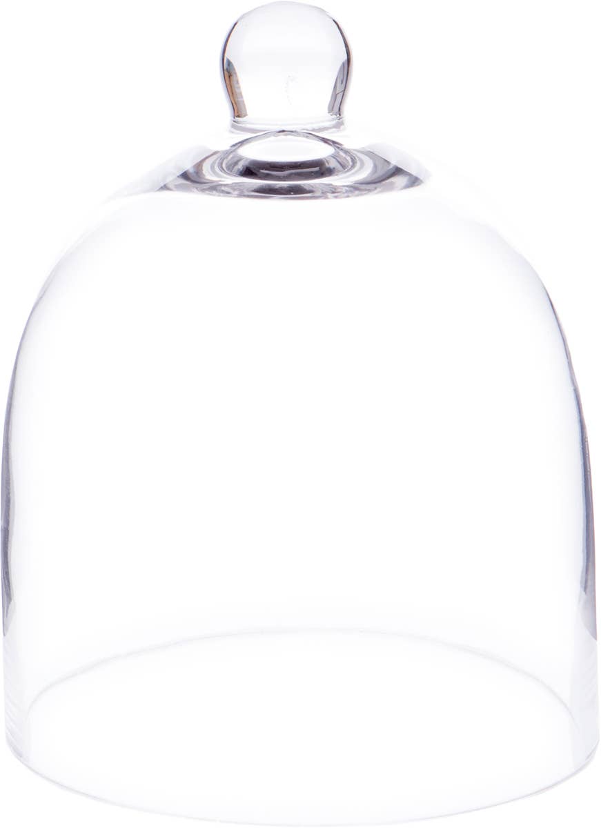 Bard's 6" x 7" Bell Jar Glass Display Dome Cloche