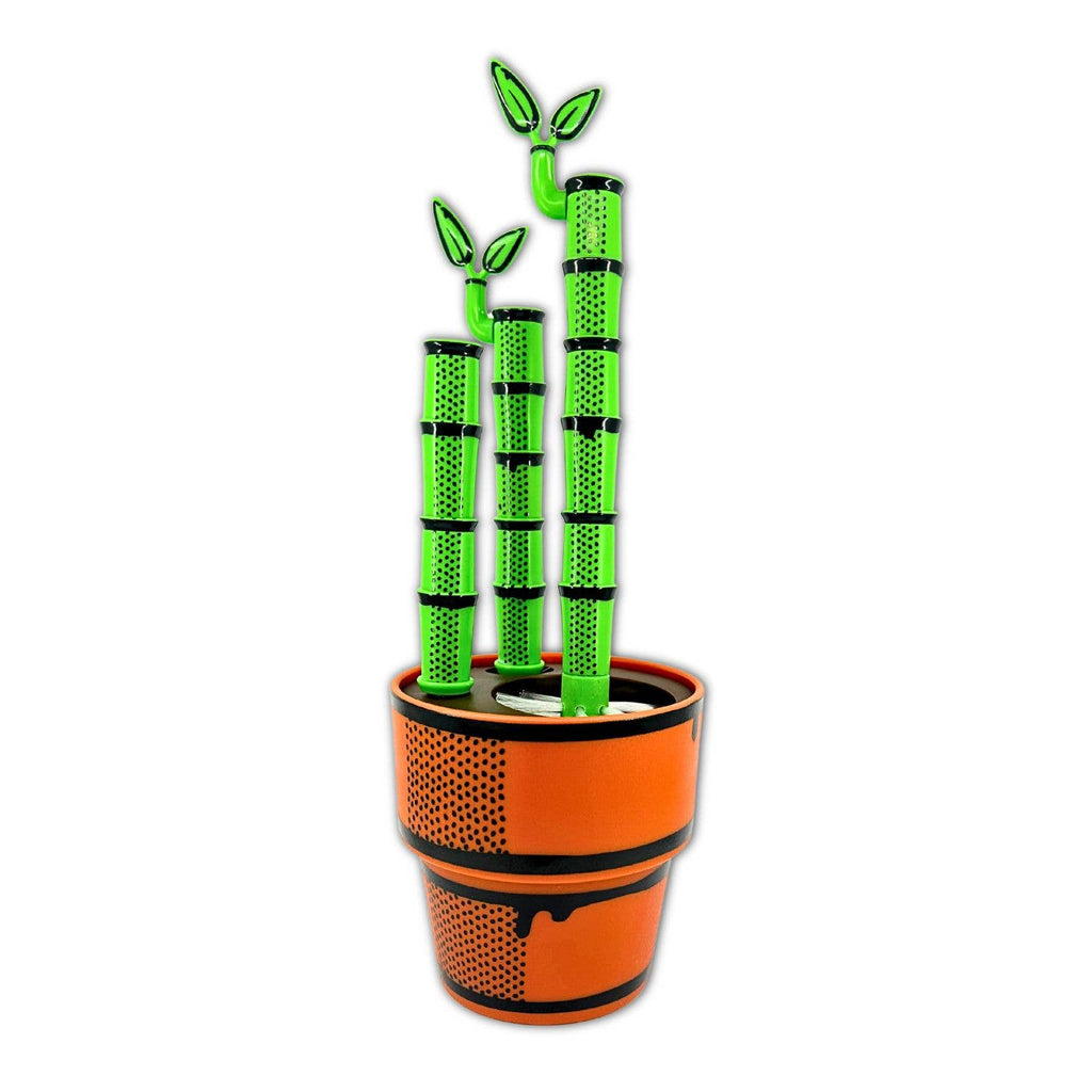 Green bamboo Bottle Brushes in an orange pot on a white background