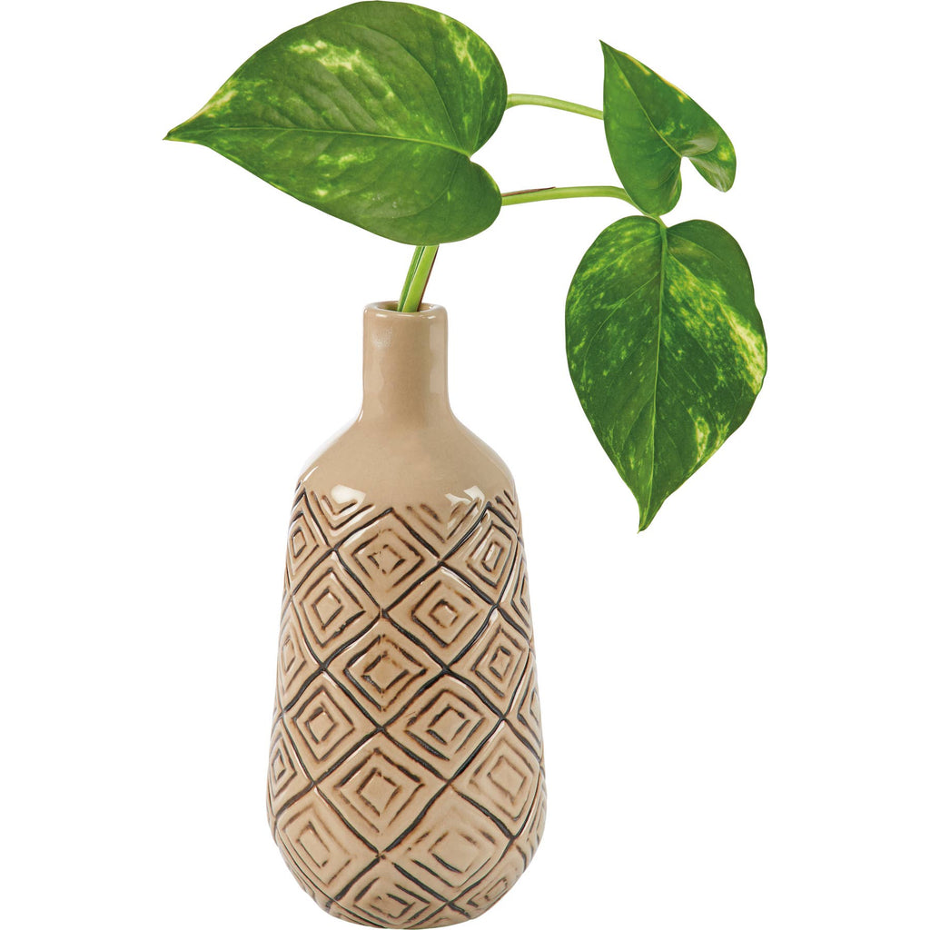 Decorative beige vase with geometric patterns holding a green plant on a white background
