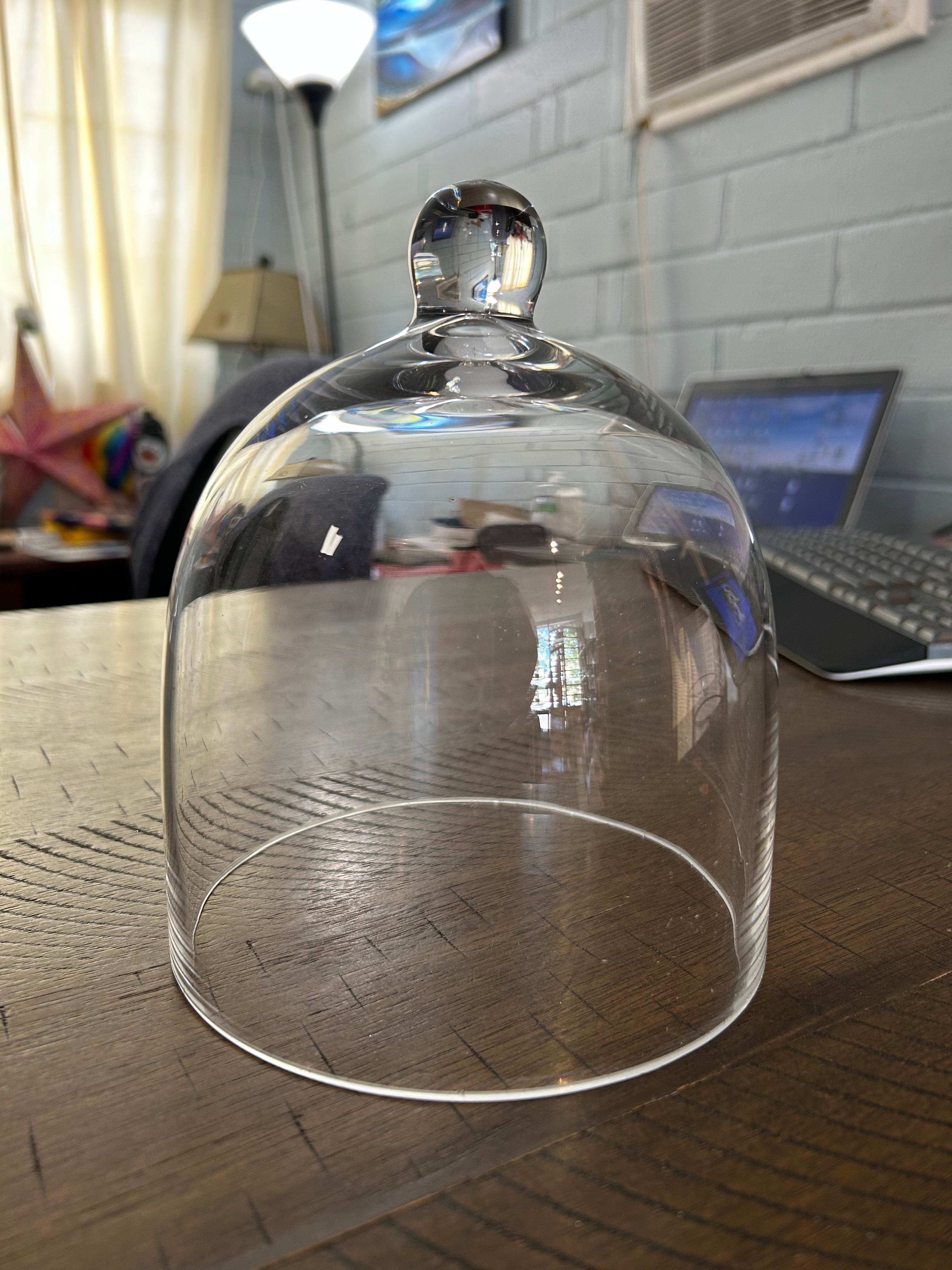 Bard's 6" x 7" Bell Jar Glass Display Dome Cloche