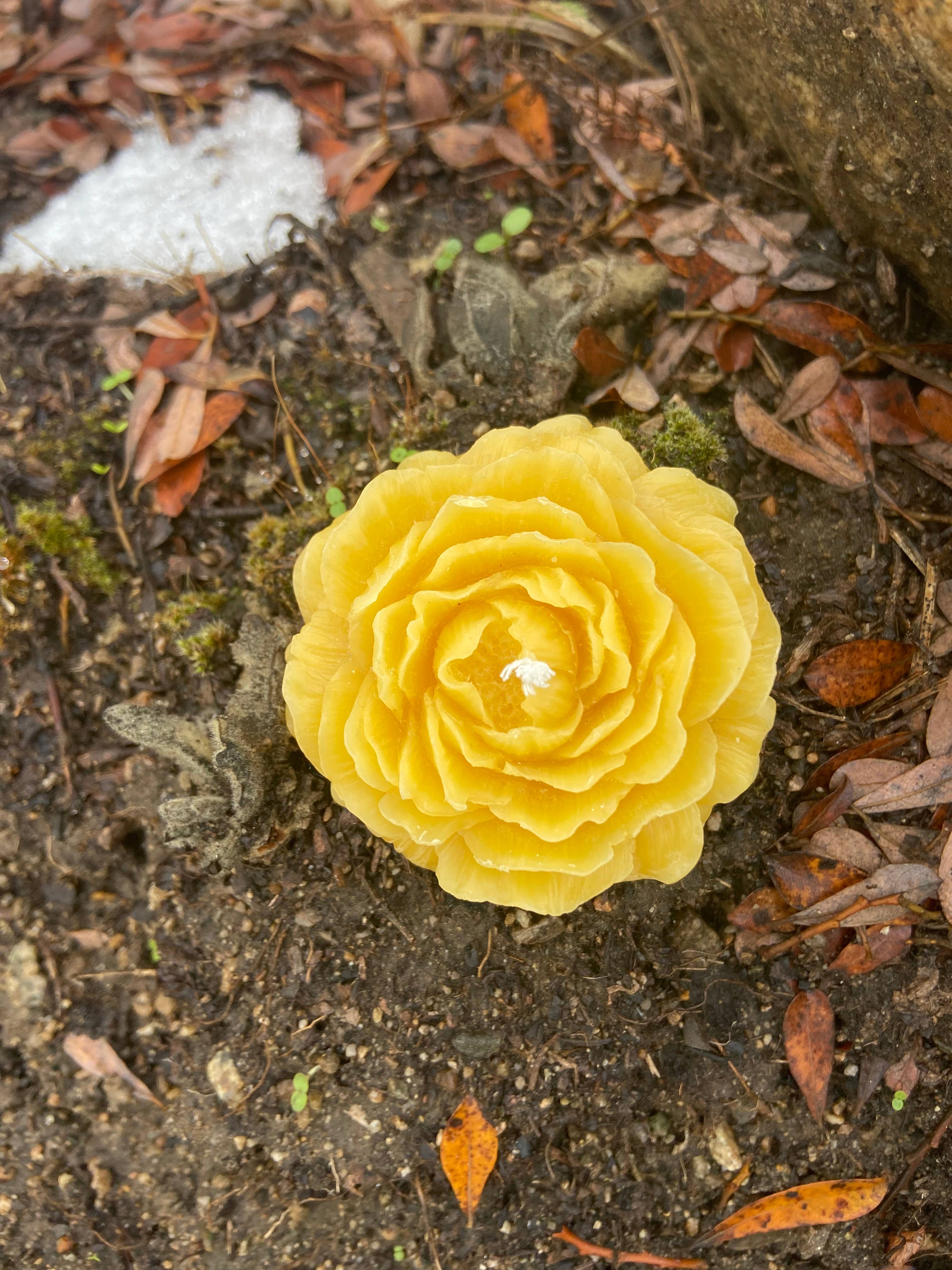 Beeswax Candles Mixed Blooms