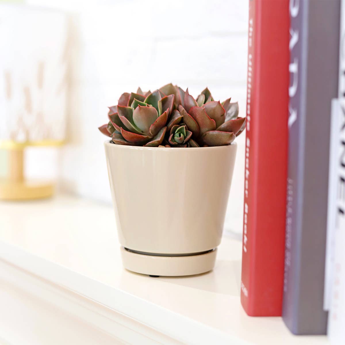 6 inch Oatmeal Pot with Drainage Hole - Pot for Houseplants-Knack