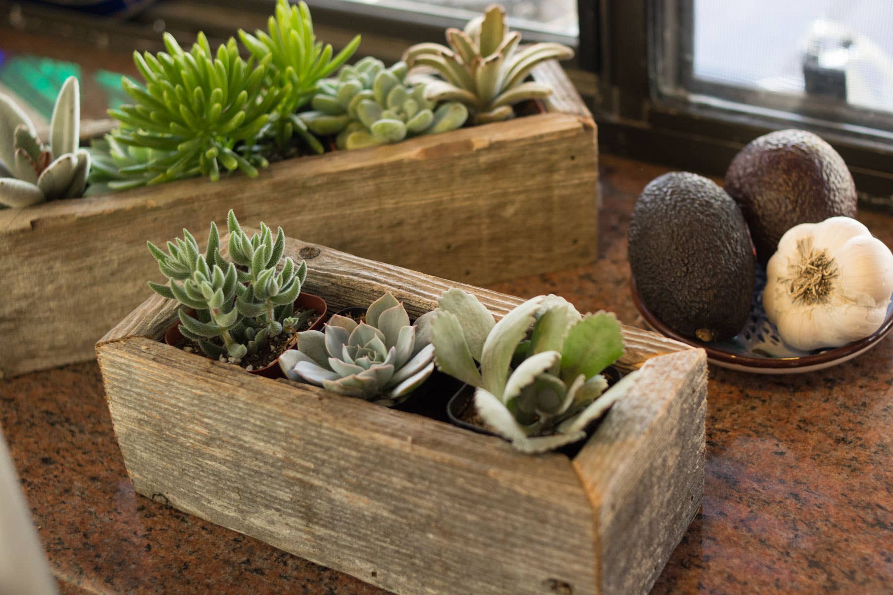 Reclaimed Wood Succulent  Planter - Small Trough