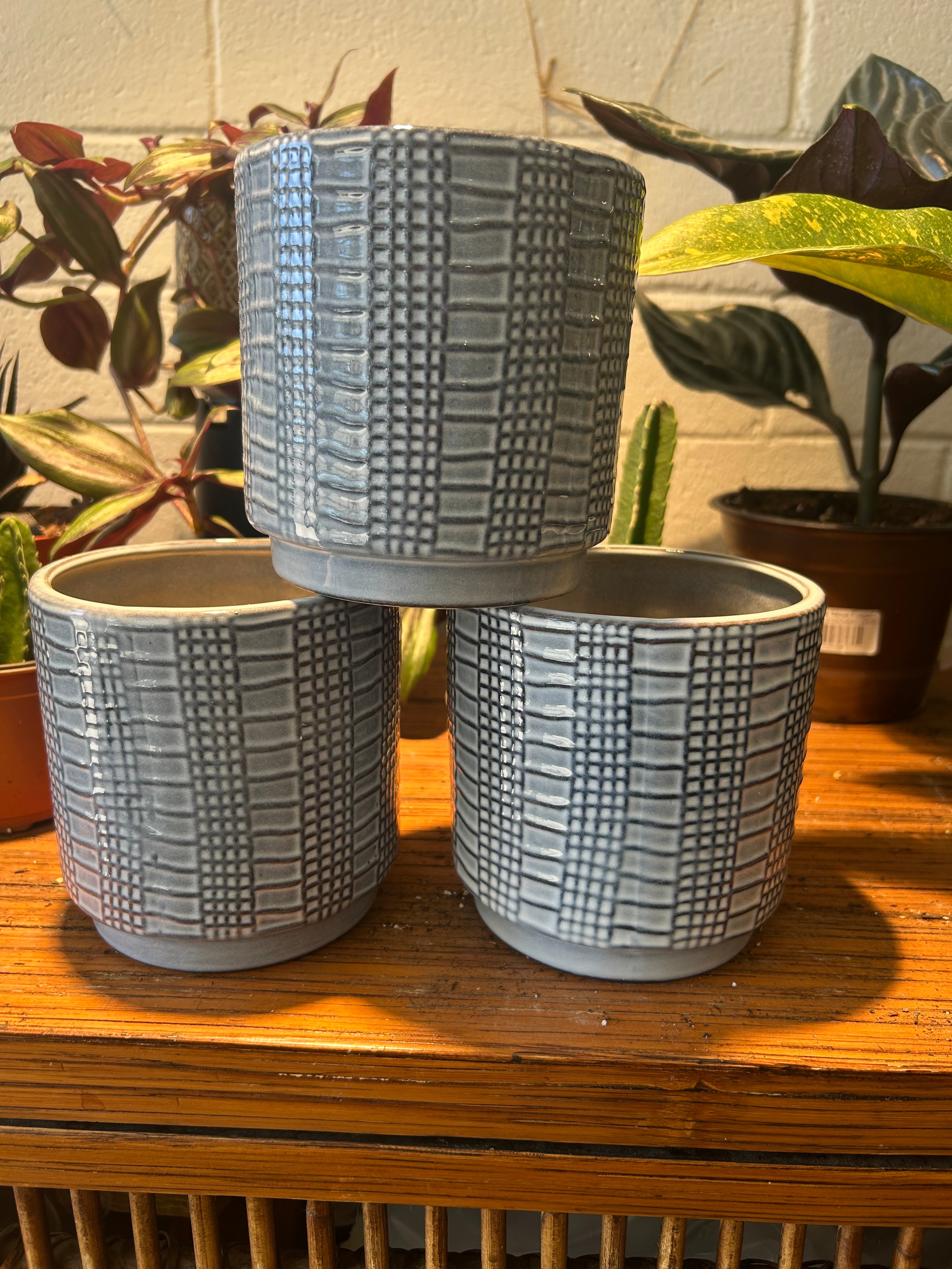 Three textured light blue planters on a wooden surface with plants in the background.