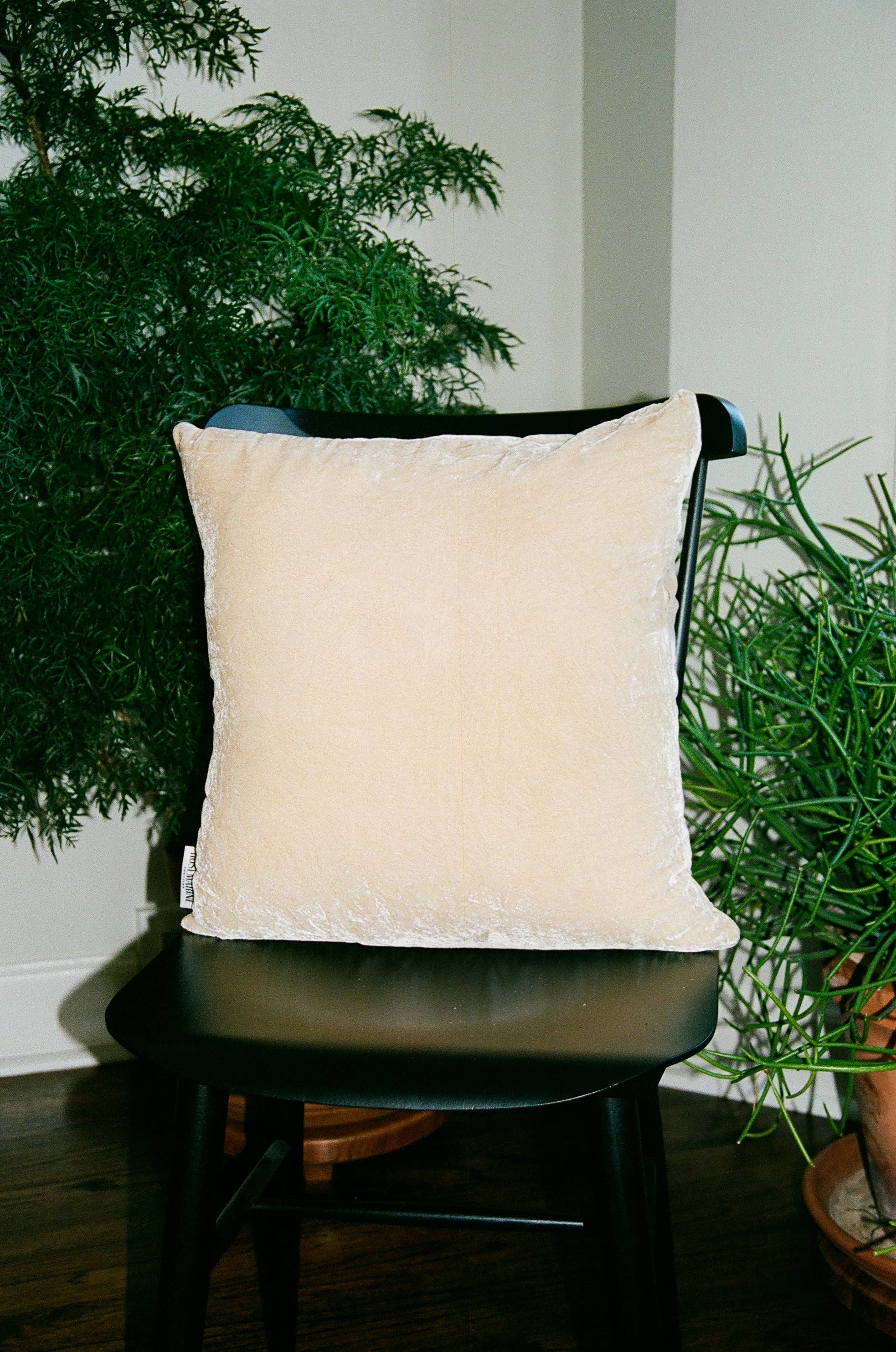 Sand Plant Dyed Silk Velvet Pillow Sham | sustainably made