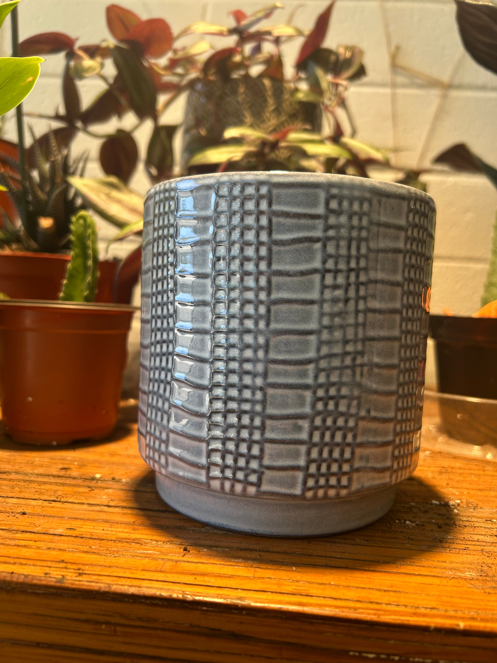 Ceramic Planter on a wooden surface with a plant in the background
