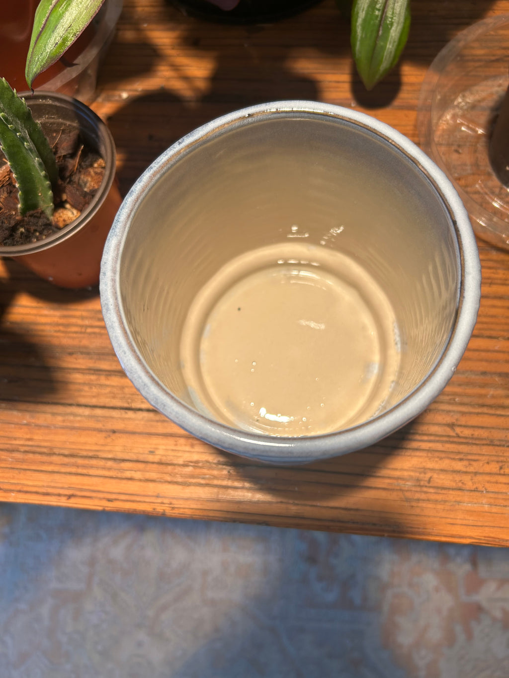 Ceramic Planter on a wooden surface with plants in the background