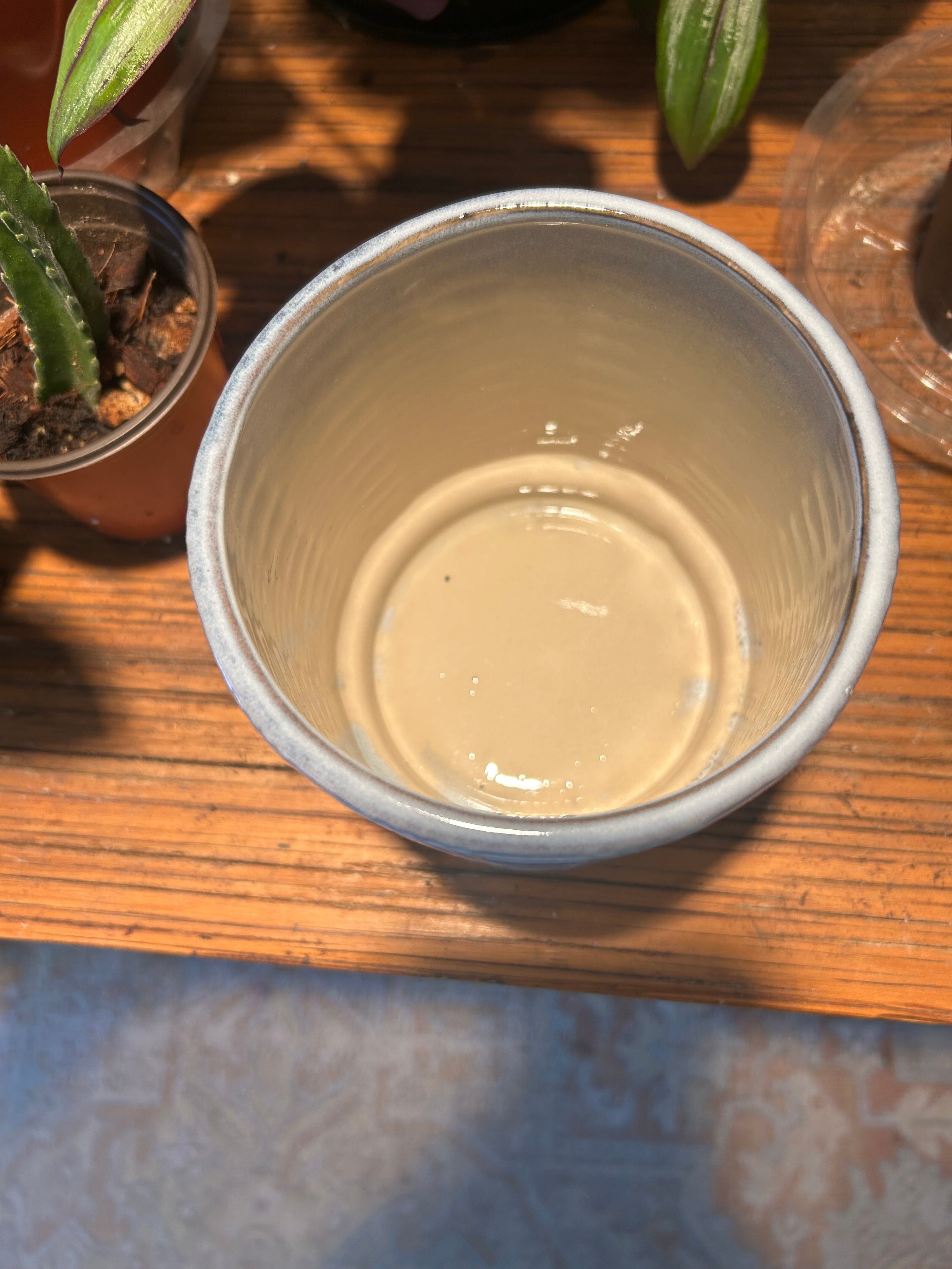 Ceramic Planter on a wooden surface with plants in the background