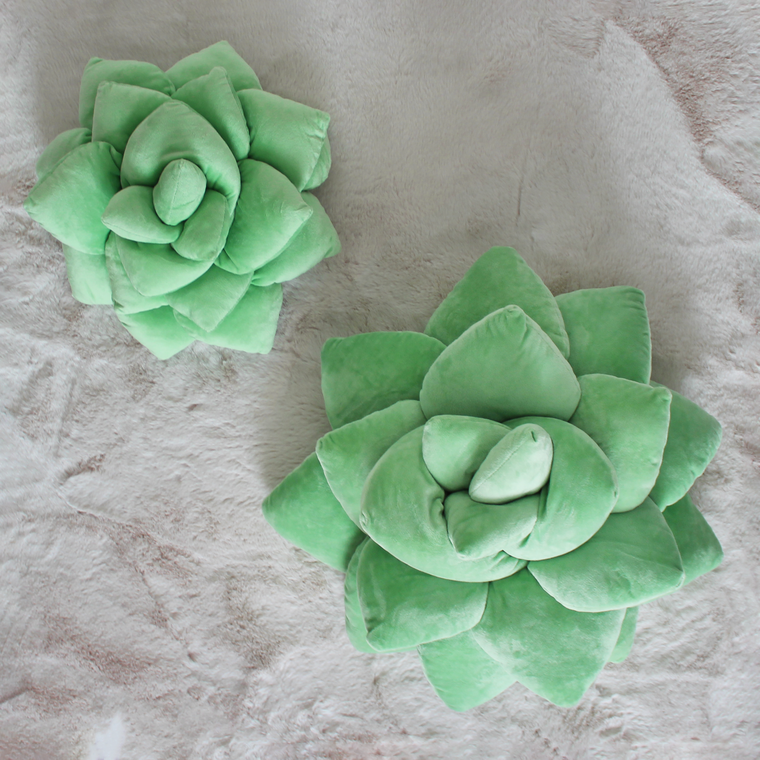 Big Pop Succulent® - Sage Green