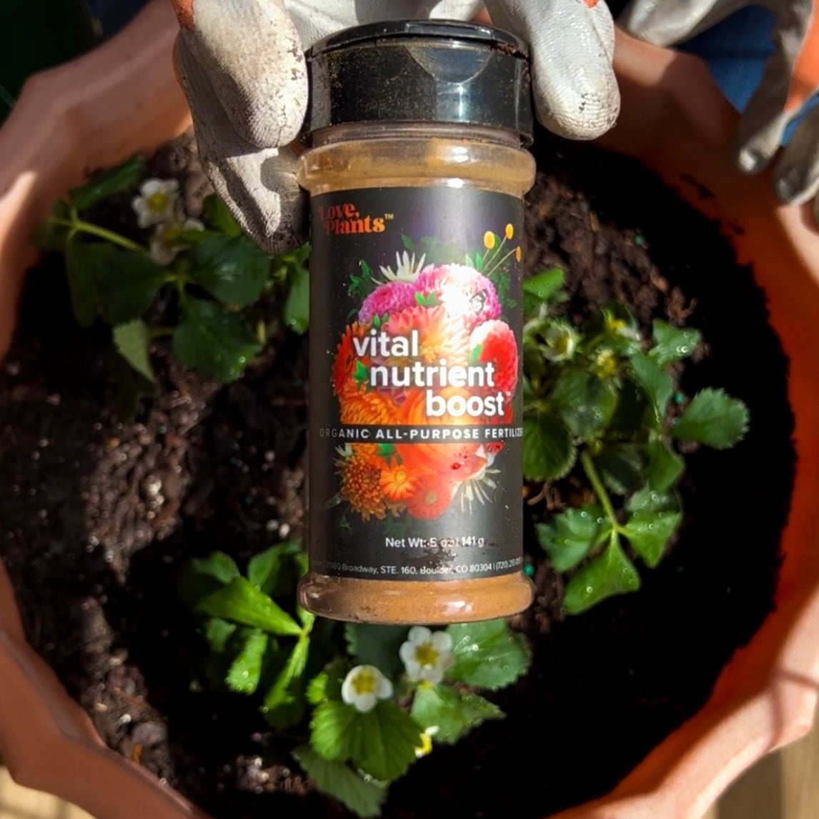 Vital Nutrient Boost