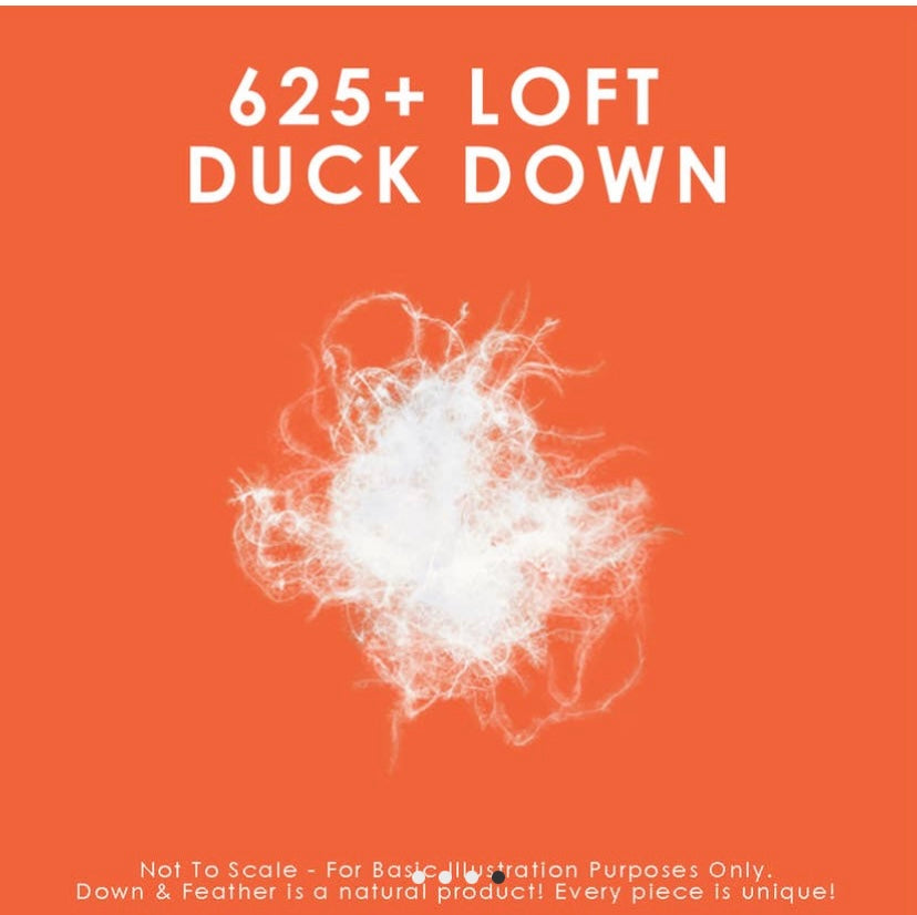 625 Loft White Down Summer XLQ-White : 96x98