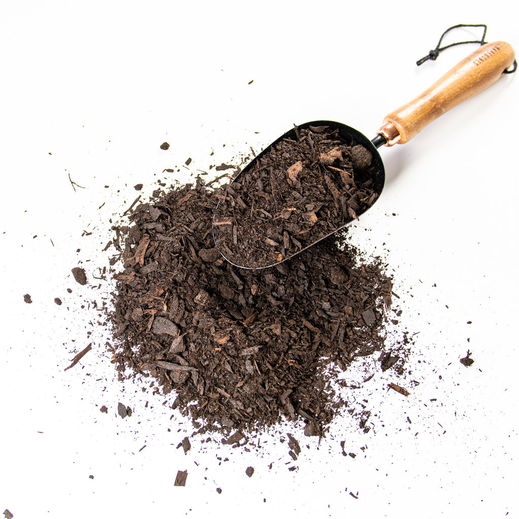 Magic Mushroom Compost