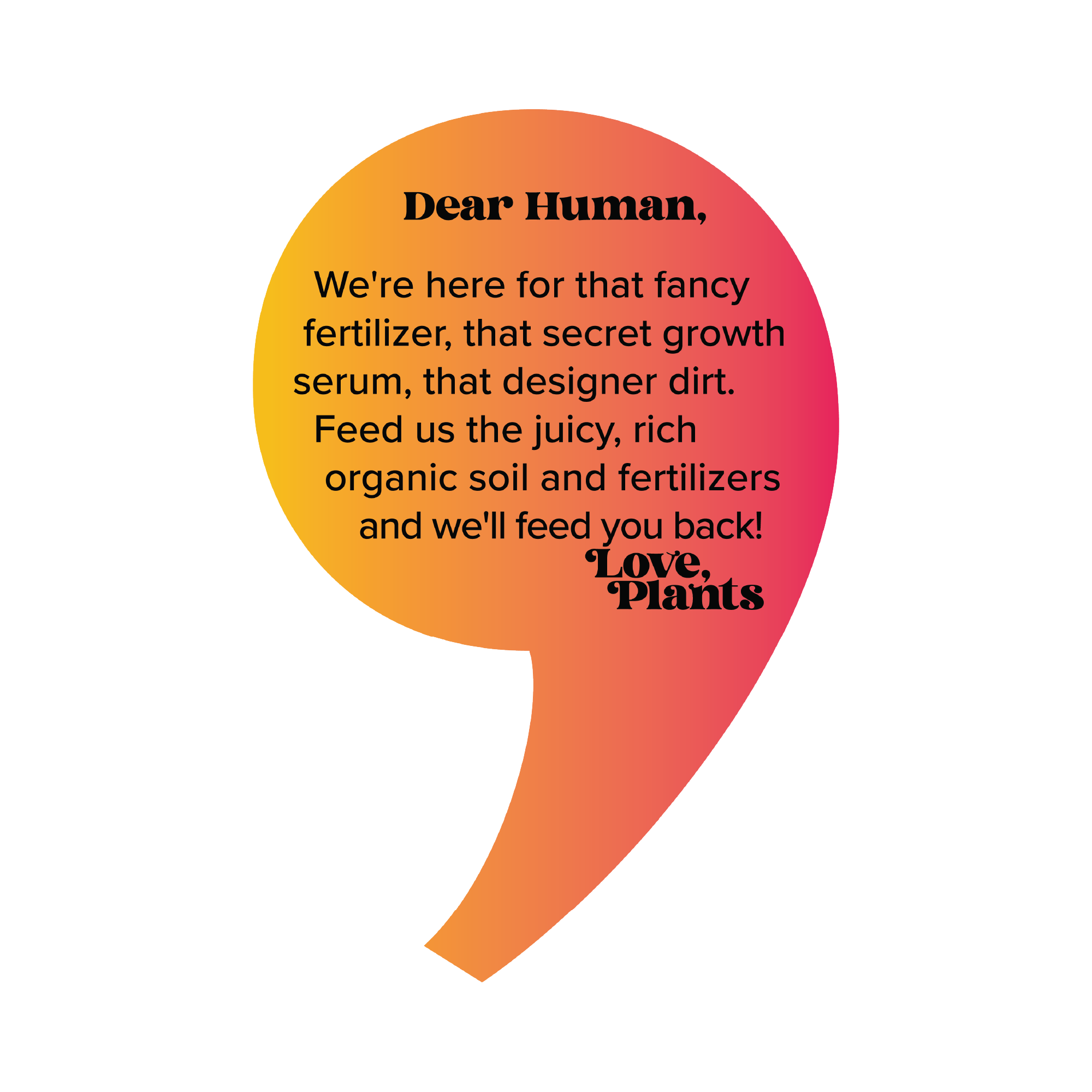 Magic Mushroom Elixir