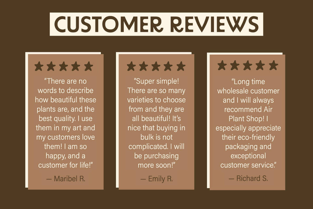 Three customer reviews on a brown background with a title 'CUSTOMER REVIEWS'.