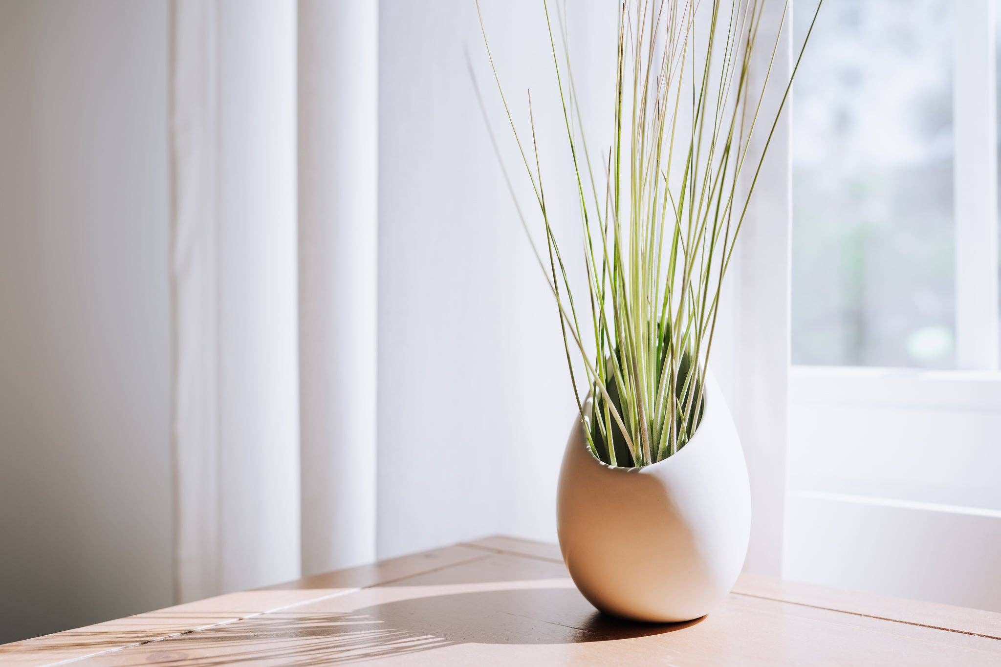 Small Ivory Ceramic Vase