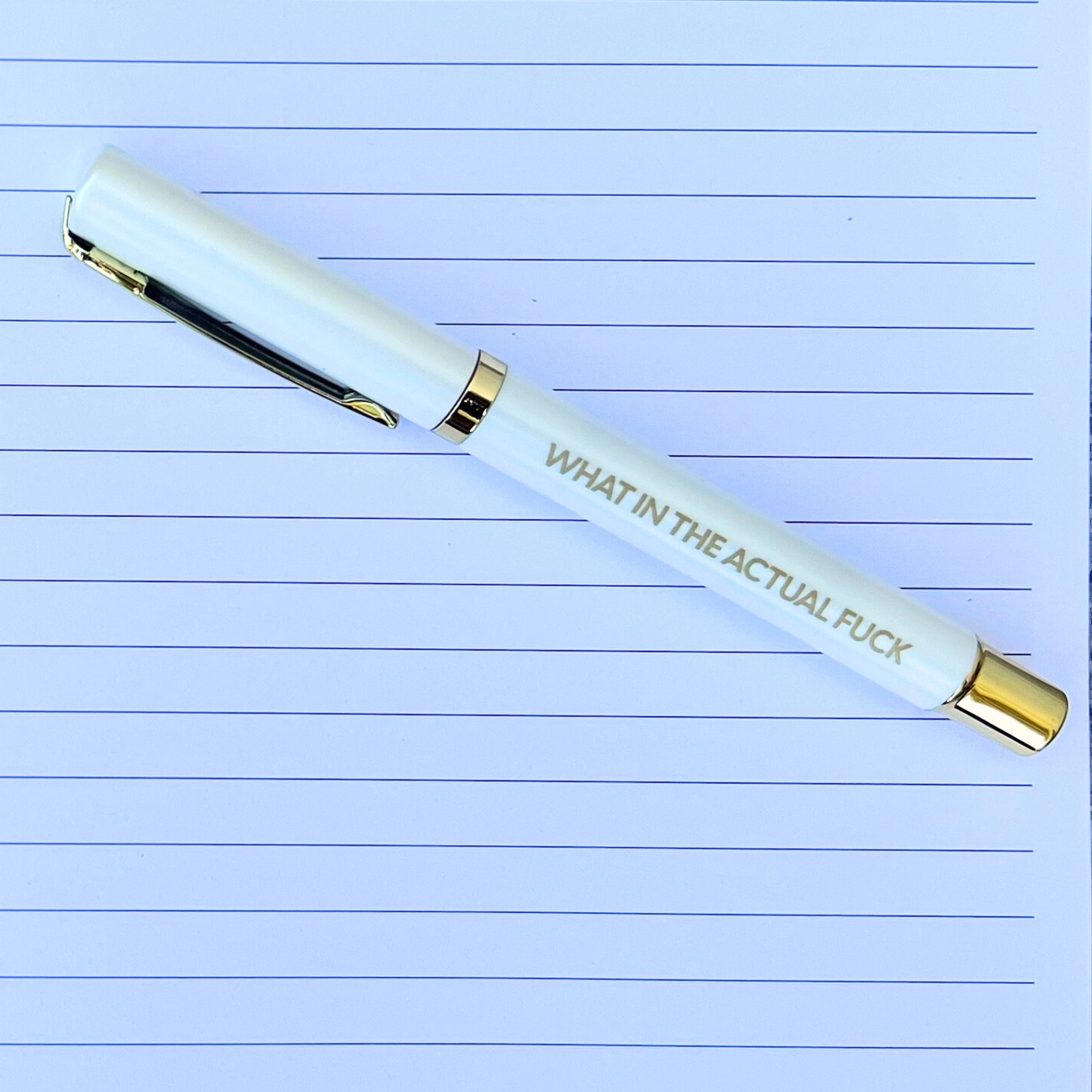 What In The Actual FXXK Journal (funny, gifts)