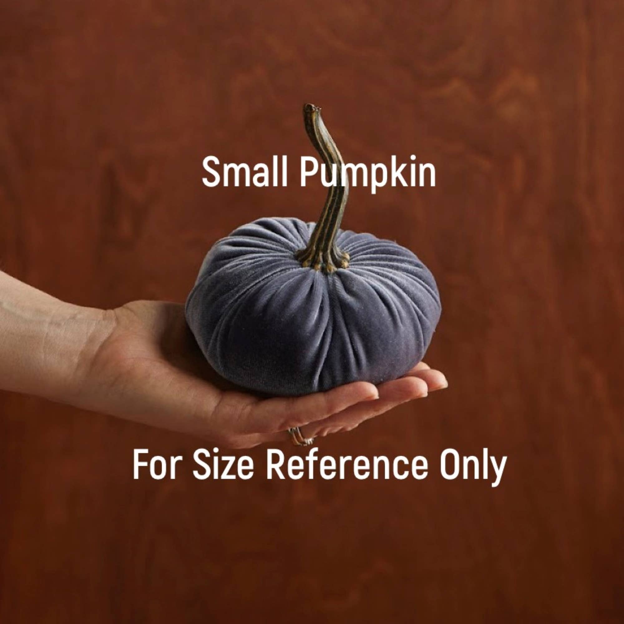 Pumpkin Small  Velvet Fall Decor Gift for New Apartment Best
