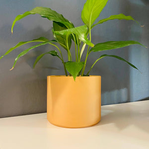 3D Printed 4in. Planter Pot - Indoor Planter Pot