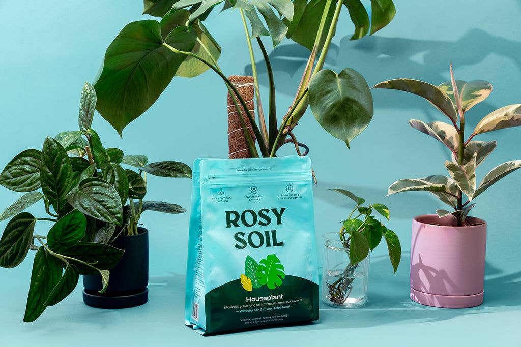 4qt Organic Houseplant Mix for Potted Plants