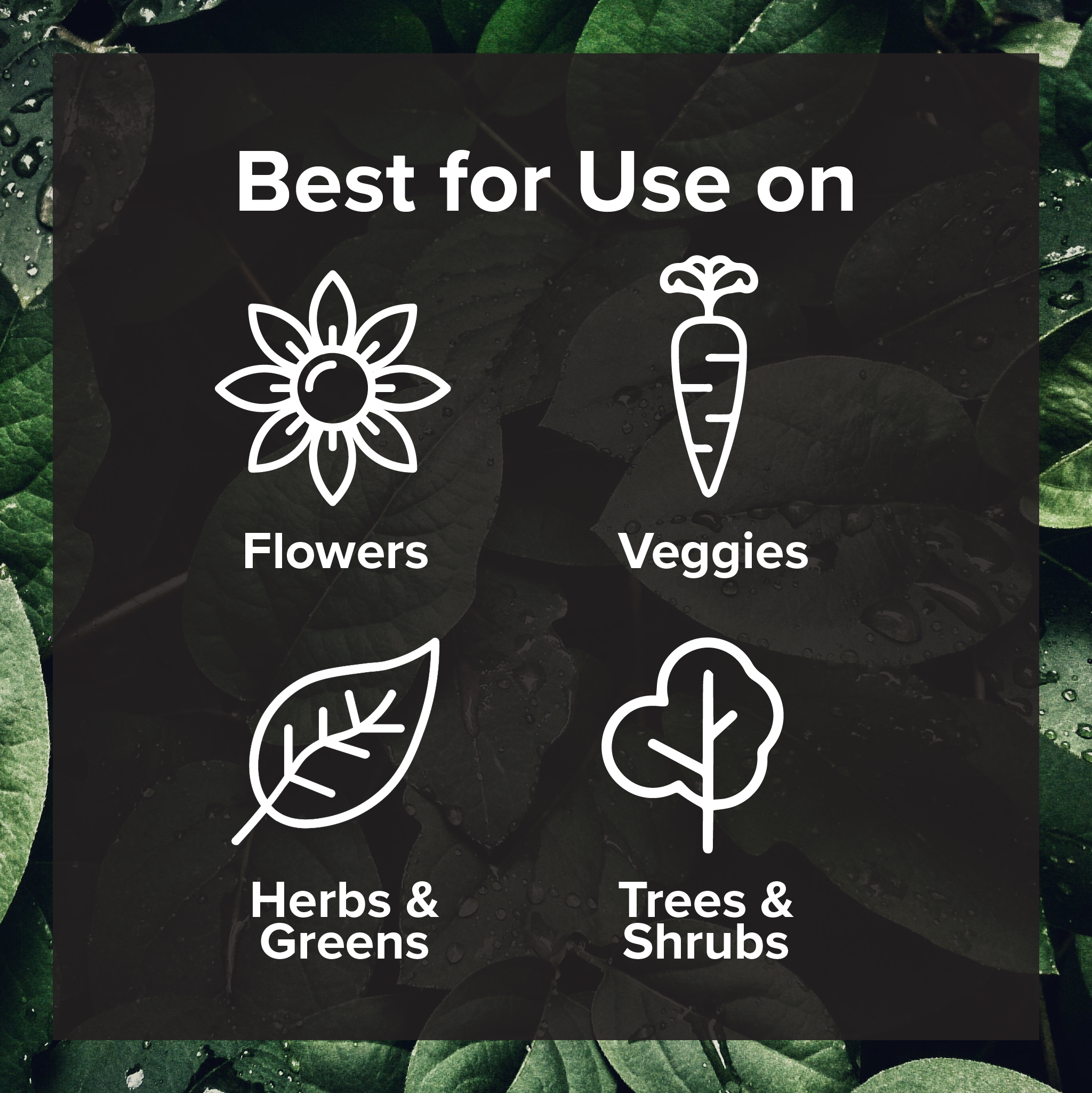 Fertile Garden Formula