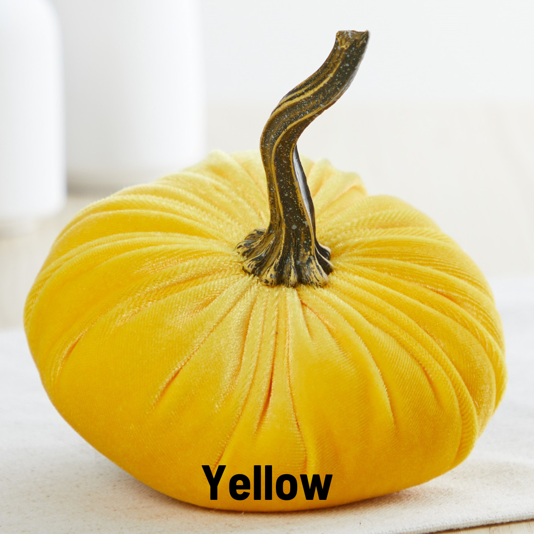 Pumpkin Small  Velvet Fall Decor Gift for New Apartment Best
