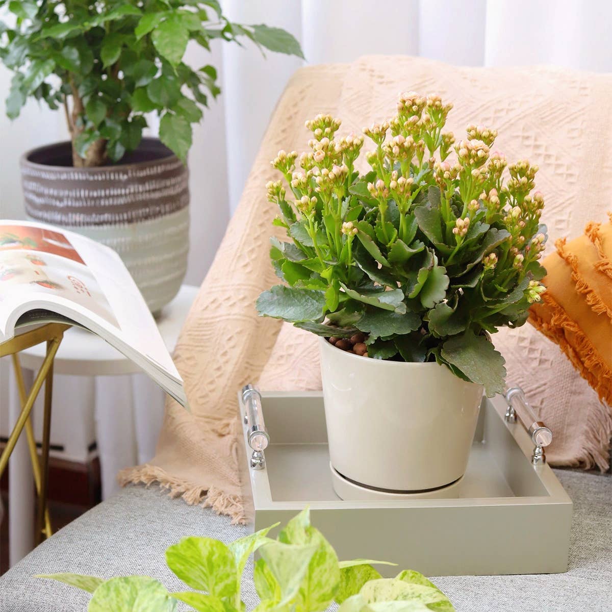 6 inch Oatmeal Pot with Drainage Hole - Pot for Houseplants-Knack