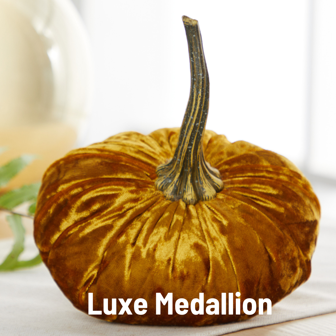 Pumpkin Small  Velvet Fall Decor Gift for New Apartment Best
