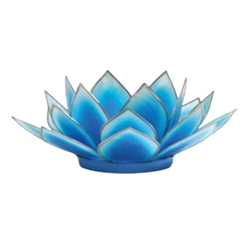 Dahlia Lotus Tlight Collection - 7 Colors