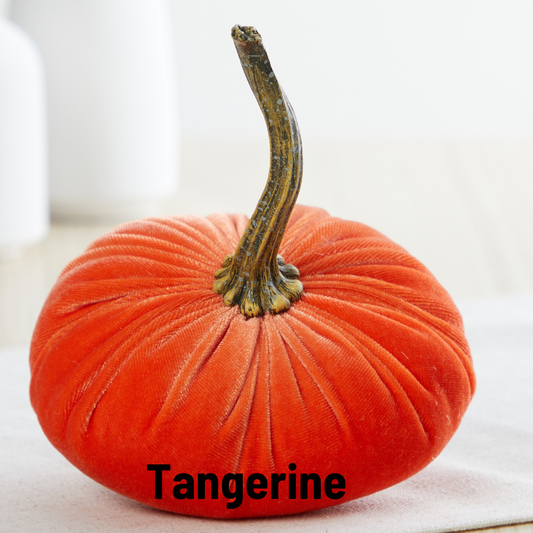 Pumpkin Small  Velvet Fall Decor Gift for New Apartment Best