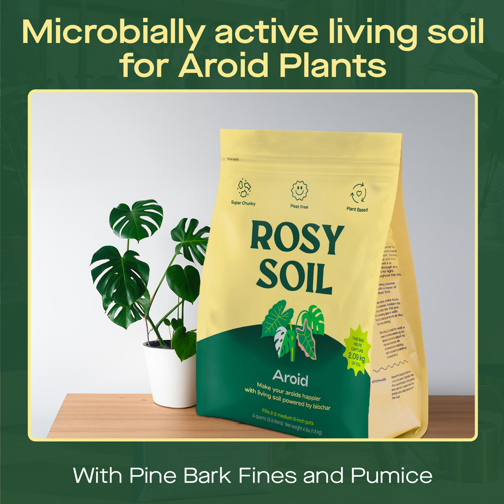 4qt Organic Aroid Mix for Indoor Plants