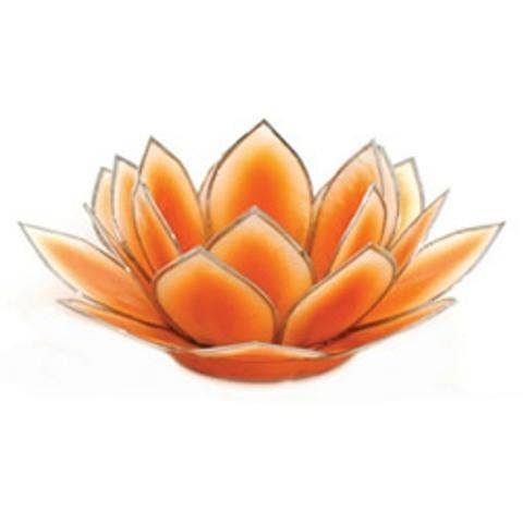 Dahlia Lotus Tlight Collection - 7 Colors