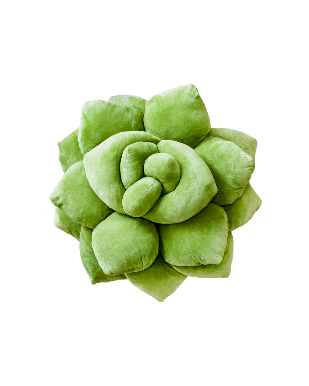 Lil' Pop Succulent®  - Olive Green